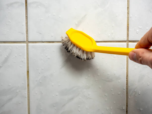 Best Professional Mold Removal  in Republic, MO